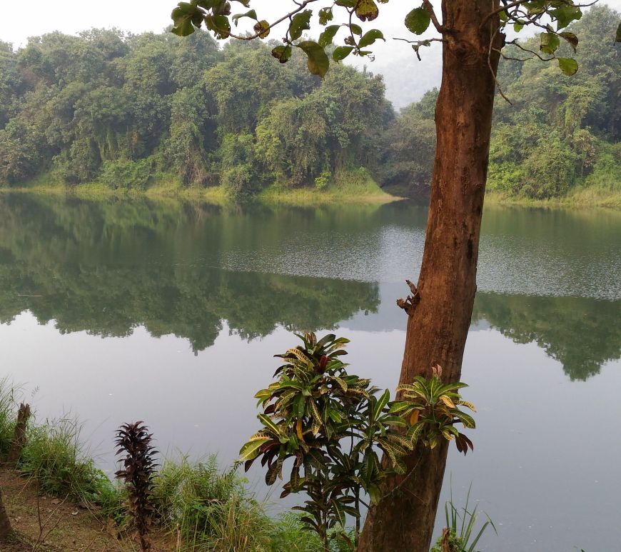 View of Periyar river, Thattekkad Bird Sanctuary, Kerala, India