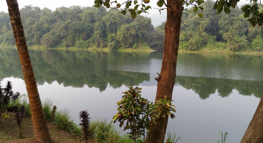 View of Periyar river, Thattekkad Bird Sanctuary, Kerala, India
