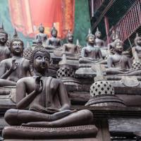 A Buddha-inspired Quest for Inner Peace